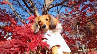 f:id:hirotaka72:20111224131904j:image