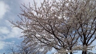 f:id:hirotaka72:20120415092503j:image