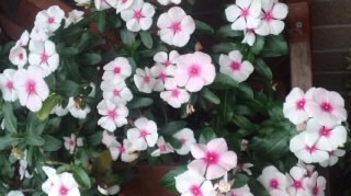f:id:hirotaka72:20120702141650j:image