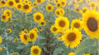 f:id:hirotaka72:20120809225630j:image