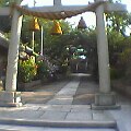 20121111124927