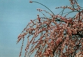 20130105212347
