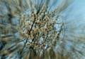 20130105212350