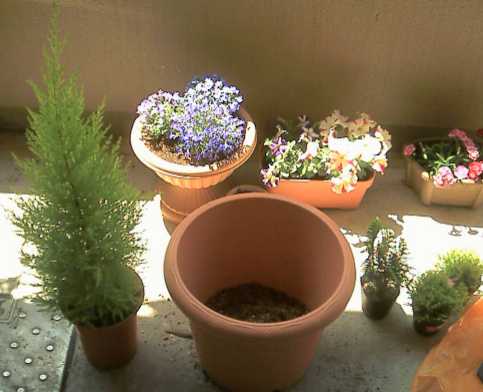 f:id:hirotaka72:20130302180805j:image:w240
