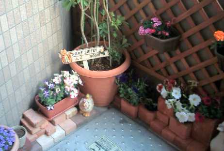 f:id:hirotaka72:20130302181044j:image:w240