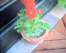 f:id:hirotaka72:20130302182211j:image:w240