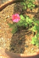 20130302185341