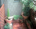 20130302185347