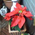 f:id:hirotaka72:20130302190006j:image f:id:hirotaka72:20130302190006j:image