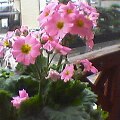f:id:hirotaka72:20130302190007j:image f:id:hirotaka72:20130302190007j:image