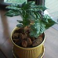 f:id:hirotaka72:20130302222949j:image