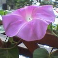 f:id:hirotaka72:20130302222951j:image