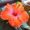 f:id:hirotaka72:20130302222952j:image