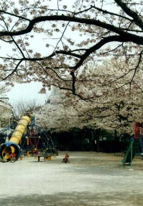 f:id:hirotaka72:20130316132937j:image:w240 f:id:hirotaka72:20130316132937j:image:w240