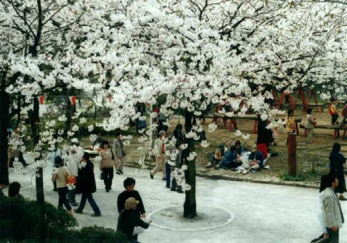 f:id:hirotaka72:20130316133252j:image:w360 f:id:hirotaka72:20130316133252j:image:w360