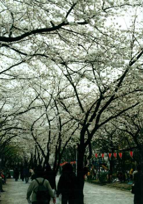 f:id:hirotaka72:20130316133254j:image:w240 f:id:hirotaka72:20130316133254j:image:w240
