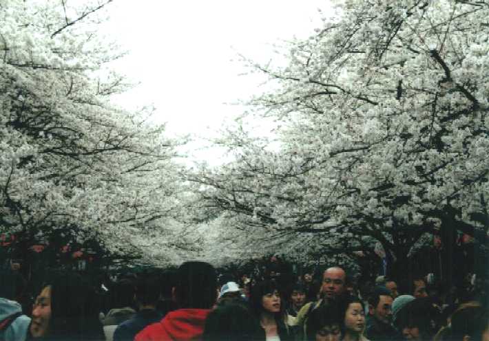 f:id:hirotaka72:20130316133455j:image:w360 f:id:hirotaka72:20130316133455j:image:w360