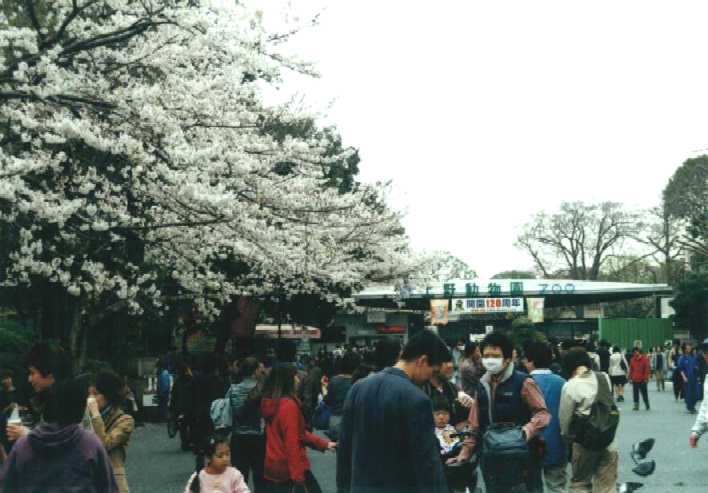 f:id:hirotaka72:20130316133456j:image:w360 f:id:hirotaka72:20130316133456j:image:w360