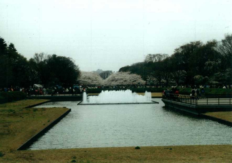 f:id:hirotaka72:20130316133457j:image:w360 f:id:hirotaka72:20130316133457j:image:w360