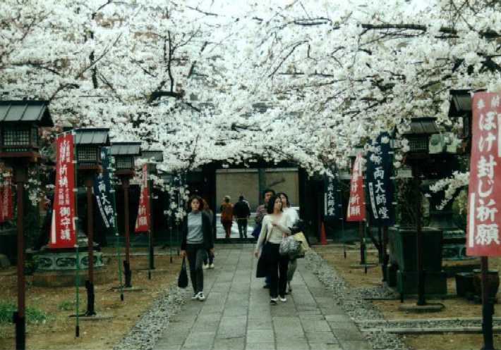 f:id:hirotaka72:20130316133606j:image:w360 f:id:hirotaka72:20130316133606j:image:w360