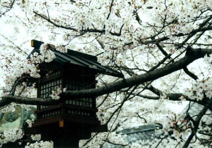 f:id:hirotaka72:20130316133608j:image:w360 f:id:hirotaka72:20130316133608j:image:w360