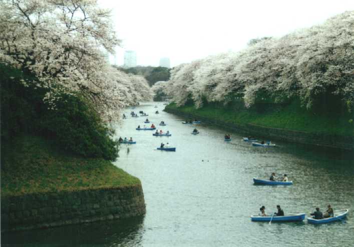 f:id:hirotaka72:20130316133923j:image:w360 f:id:hirotaka72:20130316133923j:image:w360