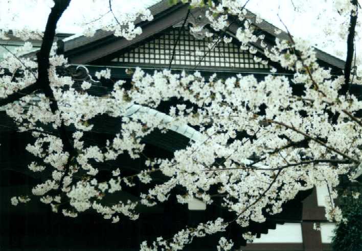 f:id:hirotaka72:20130316134125j:image:w360 f:id:hirotaka72:20130316134125j:image:w360