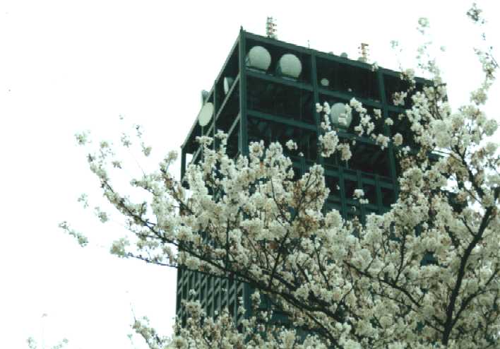 f:id:hirotaka72:20130316134346j:image:w360 f:id:hirotaka72:20130316134346j:image:w360