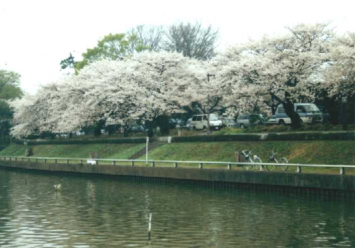 f:id:hirotaka72:20130316134553j:image:w360 f:id:hirotaka72:20130316134553j:image:w360