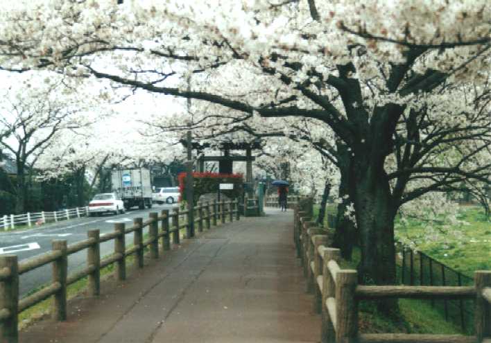 f:id:hirotaka72:20130316134554j:image:w360 f:id:hirotaka72:20130316134554j:image:w360