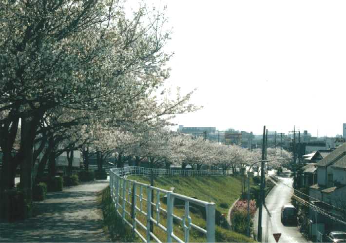 f:id:hirotaka72:20130316134713j:image:w360 f:id:hirotaka72:20130316134713j:image:w360
