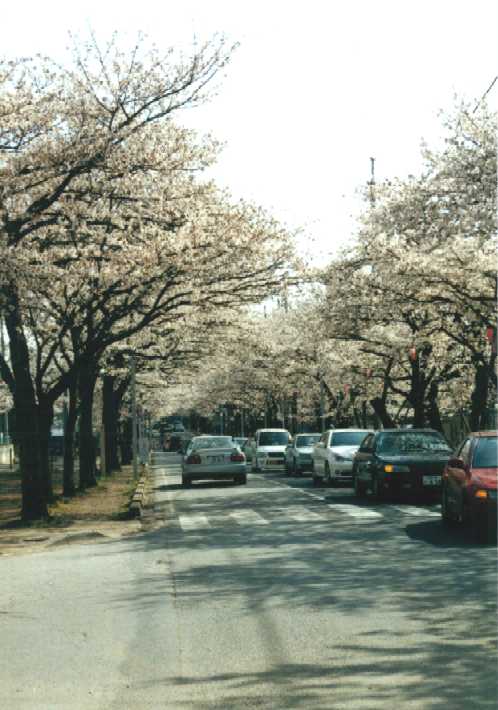 f:id:hirotaka72:20130316134814j:image:w240 f:id:hirotaka72:20130316134814j:image:w240