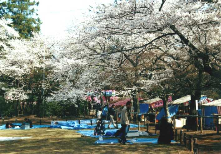f:id:hirotaka72:20130316134815j:image:w360 f:id:hirotaka72:20130316134815j:image:w360