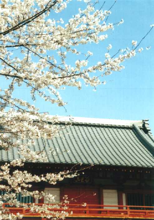 f:id:hirotaka72:20130316134816j:image:w240 f:id:hirotaka72:20130316134816j:image:w240