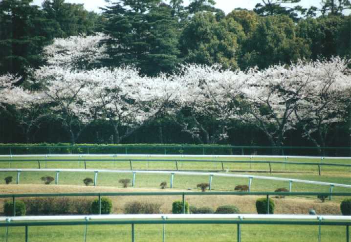f:id:hirotaka72:20130316135111j:image:w360 f:id:hirotaka72:20130316135111j:image:w360