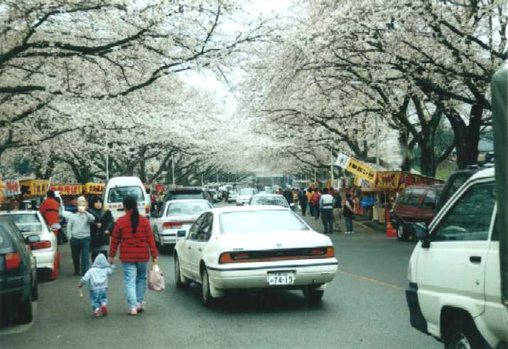 f:id:hirotaka72:20130316135202j:image:w360 f:id:hirotaka72:20130316135202j:image:w360