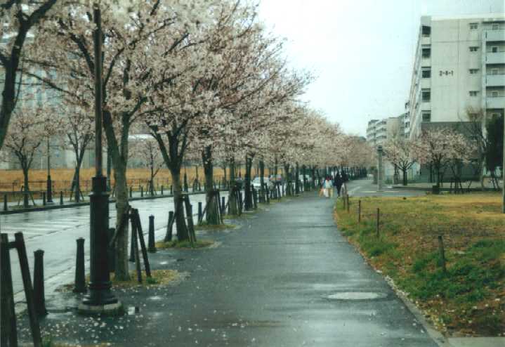f:id:hirotaka72:20130316135314j:image:w360 f:id:hirotaka72:20130316135314j:image:w360