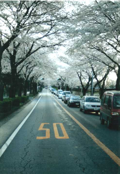 f:id:hirotaka72:20130316140400j:image:w240 f:id:hirotaka72:20130316140400j:image:w240
