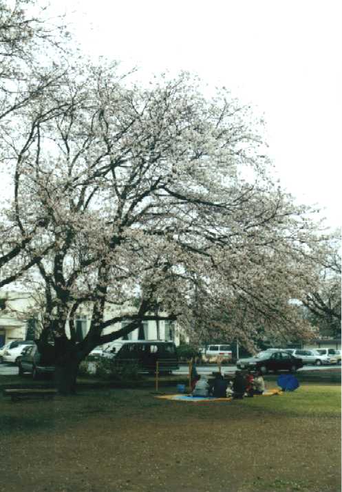 f:id:hirotaka72:20130316140500j:image:w240 f:id:hirotaka72:20130316140500j:image:w240