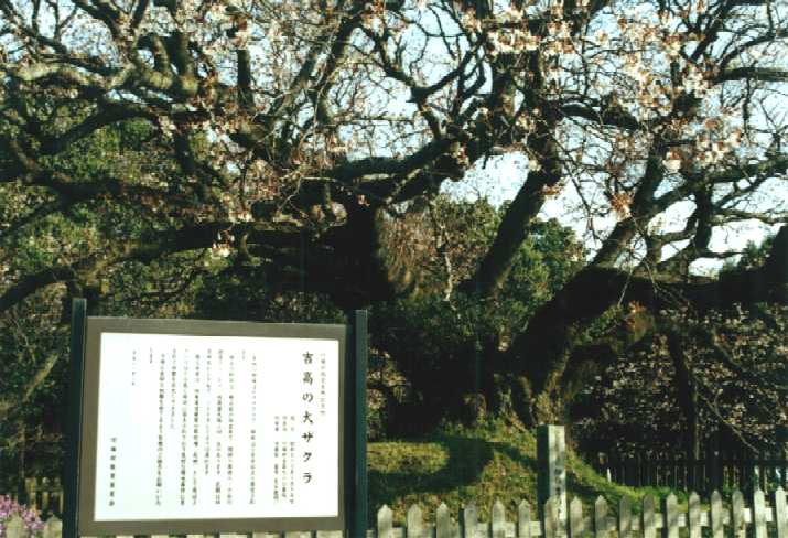 f:id:hirotaka72:20130316140603j:image:w360 f:id:hirotaka72:20130316140603j:image:w360
