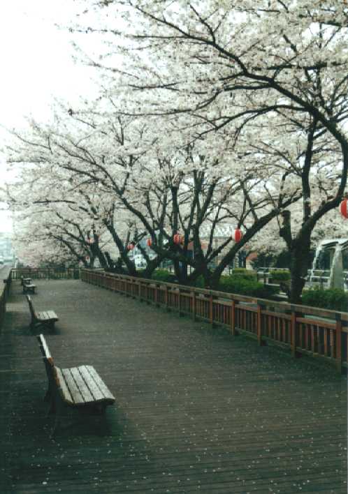 f:id:hirotaka72:20130316140656j:image:w240 f:id:hirotaka72:20130316140656j:image:w240