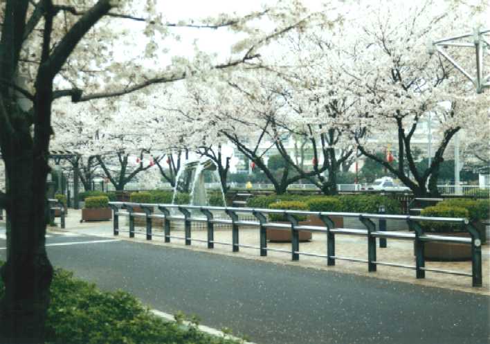 f:id:hirotaka72:20130316140657j:image:w360 f:id:hirotaka72:20130316140657j:image:w360