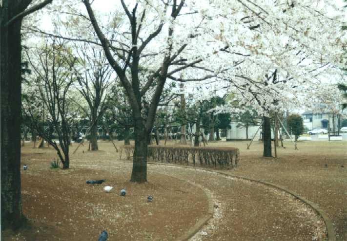 f:id:hirotaka72:20130316140739j:image:w360 f:id:hirotaka72:20130316140739j:image:w360