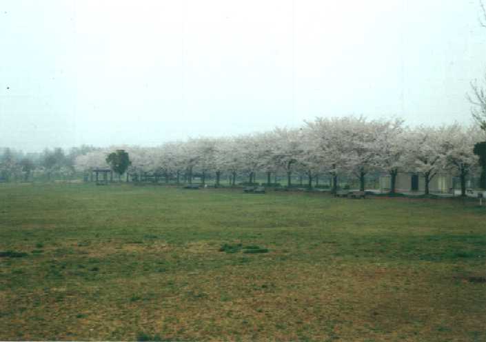 f:id:hirotaka72:20130316140821j:image:w360 f:id:hirotaka72:20130316140821j:image:w360