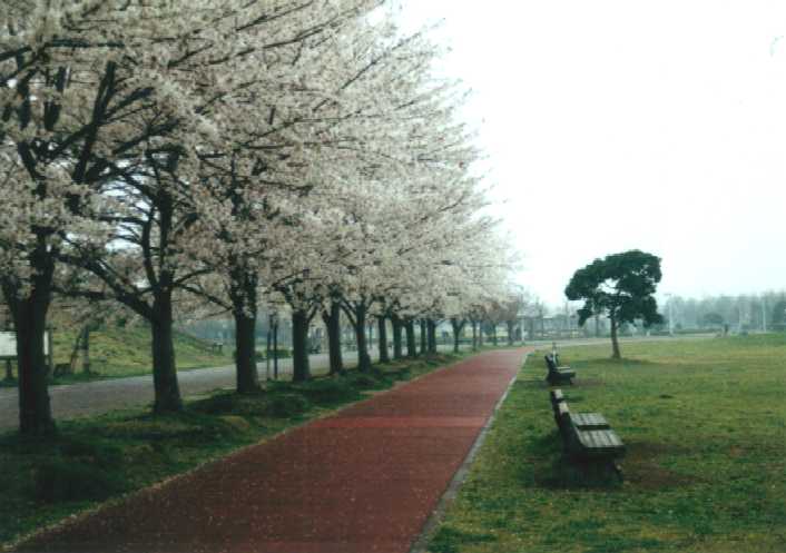 f:id:hirotaka72:20130316140822j:image:w360 f:id:hirotaka72:20130316140822j:image:w360