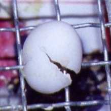 f:id:hirotaka72:20130408213319j:image:w240