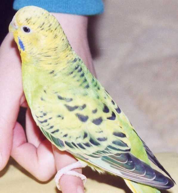 f:id:hirotaka72:20130408213955j:image:w240