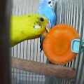 20130409195508
