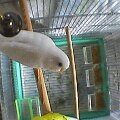 20130409200711