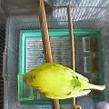 20130409200712